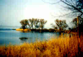 Strand in näherer Umgebung
