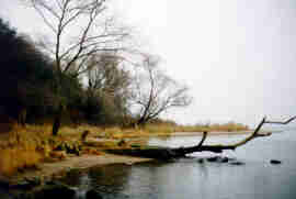 Strand unterhalb des Ortes